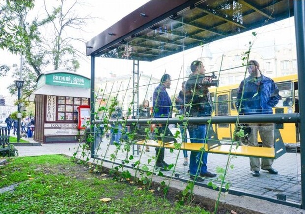 Новина - Транспорт та інфраструктура - Як виглядає перша зелена зупинка у Львові (фото)