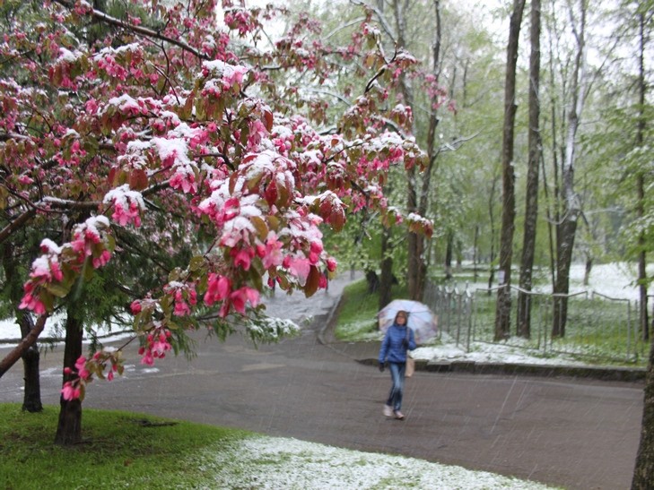 Новина - Події - Інтернет "вибухнув" фотожабами на квітневий сніг у Львові (фото)
