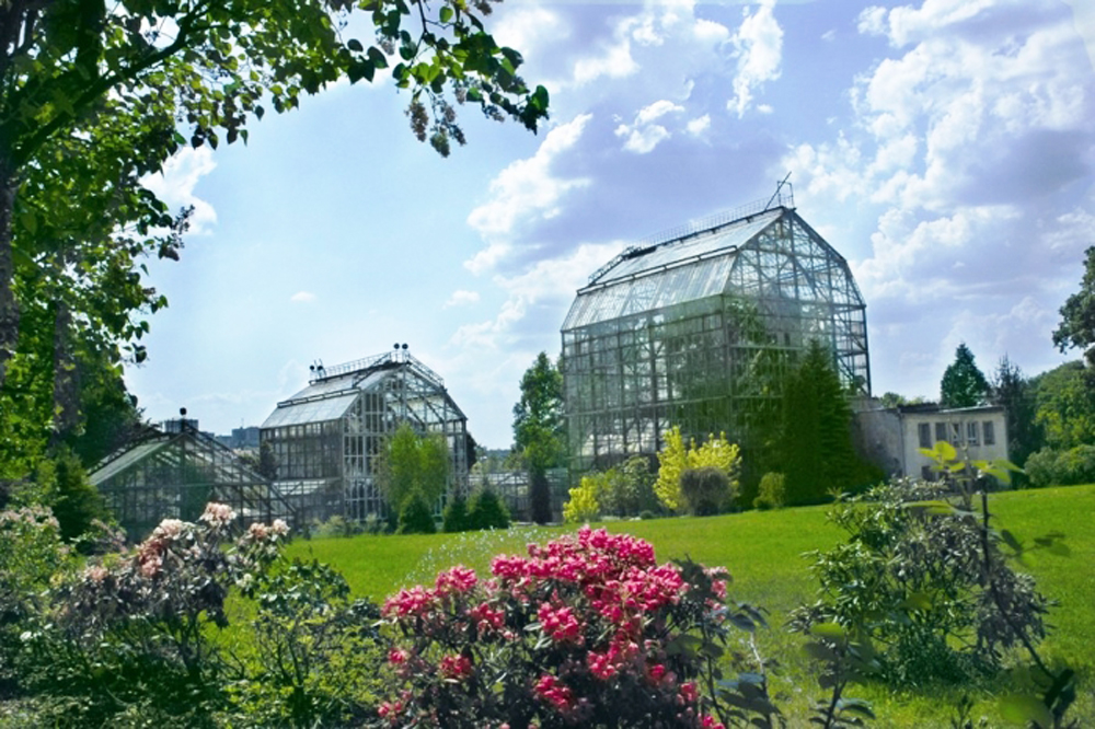 Новина - Події - Безкоштовно: львівський ботанічний сад кличе на День відкритих дверей