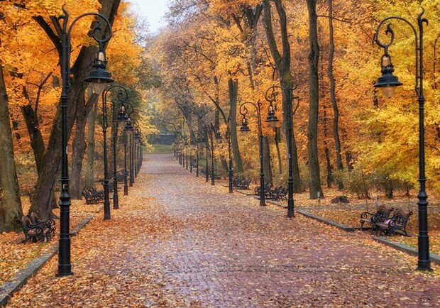 Стрийський парк – ідеальне місце для осінньої прогулянки у Львові. Фото: amazing-ukraine.com