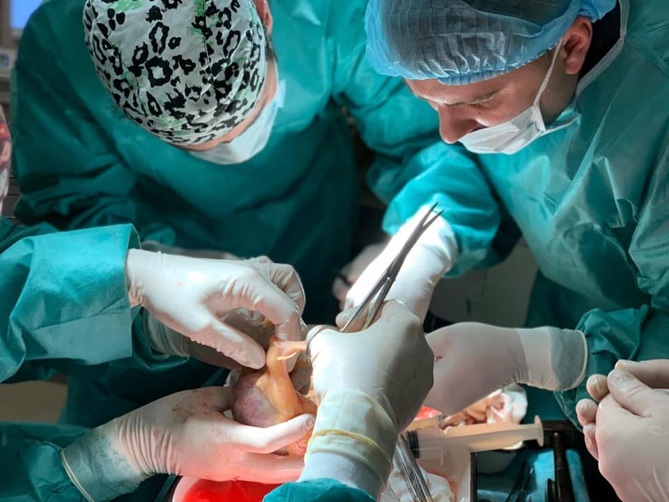 У Львові проводитимуть операції з трансплантації органів. 