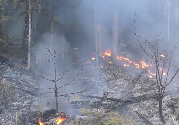 Фото, відео: у Карпатах через підпал трави загорівся ліс  фото