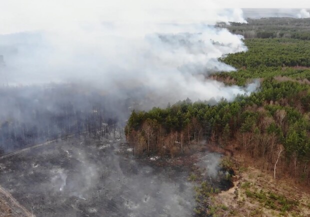 Відео з дрона: пожежники гасили ліс на Львівщині понад вісім годин фото