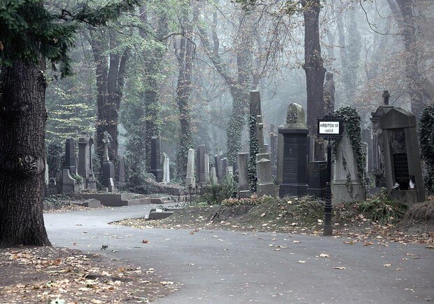 Напад люті: у Яворові чоловік розтрощив пам’ятники на цвинтарі. Фото: unsplash.com (умовне)