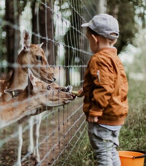 10 зоокутків: де у Львові та області можна подивитись на тварин