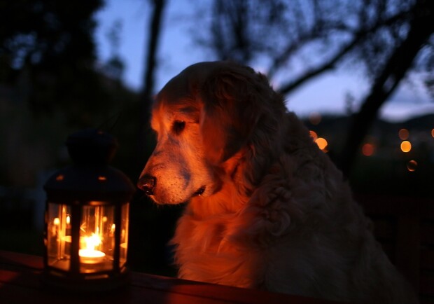 Кому з львів’ян вимкнуть світло в другий день літа. Фото: w-dog.ru (умовне)