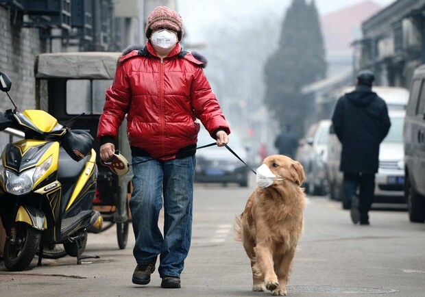 На Львівщині виявили 68 нових випадків коронавірусу. Фото: pollutionairmask.com (умовне)