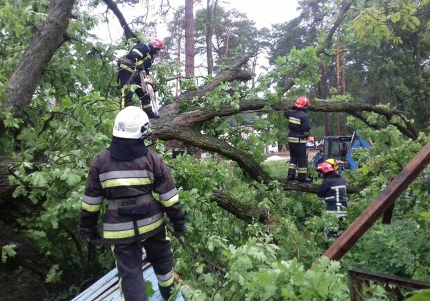 Через буревій у Брюховичах дерево вбило жінку. Фото: ДСНС Львівщини