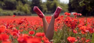 Спецоперація «Мак»: львівські поліцейські показали цьогорічний «урожай»