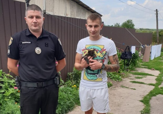 Просто пожартував: поліцейські розшукали блогера, який закрив кошеня у банці. Фото: поліція Львівщина.