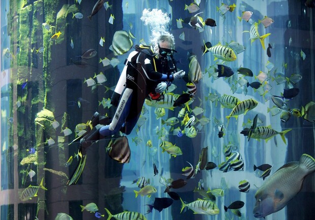 Львівський океанаріум шукає акваріуміста. Фото: tourprom.ru