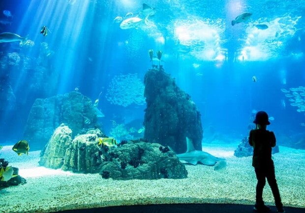 У Львові відкрили великий океанаріум. Фото: Твоє місто