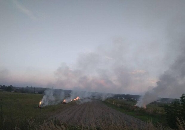 На околиці міста стартував сезон паління бадилля. Фото: Ілона Тверда