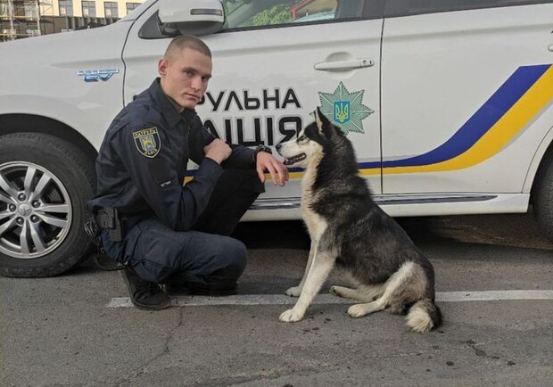 До поліцейського посту прибилась хаскі. Фото: Патрульна поліція Львівської області