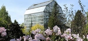 Екскурсія Ботанічним садом ЛНУ ім.І.Франка