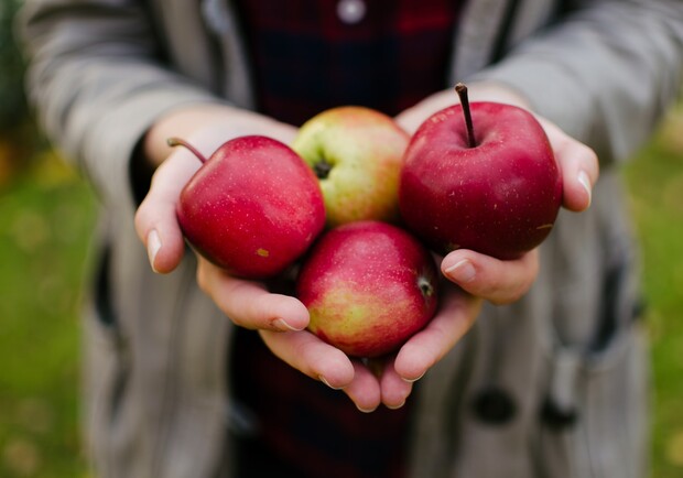 Вітамінізуйся: львів'ян кличуть на свято яблук. Фото: unsplash.com (умовне)