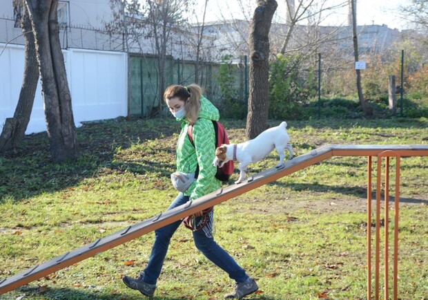 Як виглядає новий тренувально-вигульний майданчик для собак на Промисловій. Фото: ЛМР