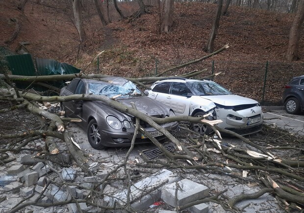 У Львові вітер повалив дерева на автомобілі. Фото: Юрій Городиський
