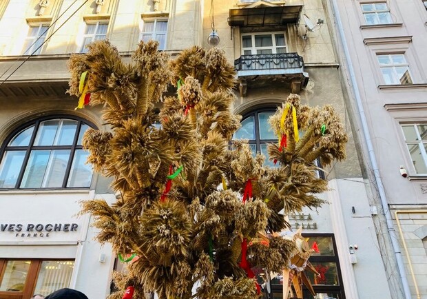 Напередодні Різдва, 6 січня, у Львові традиційно встановили Різдвяного Дідуха. Фото міськради