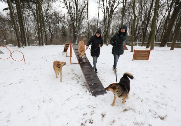 У Львові облаштували новий тренувально-вигульний майданчик для собак. Фото: Львівська міська рада
