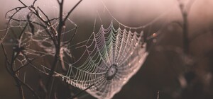 Львівська область посіла друге місце в Україні за зростанням рівня смертності