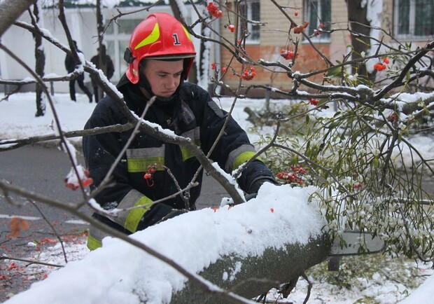 Впало дерево: на Клепарові перекрили вулицю. Фото ДСНС (умовне).