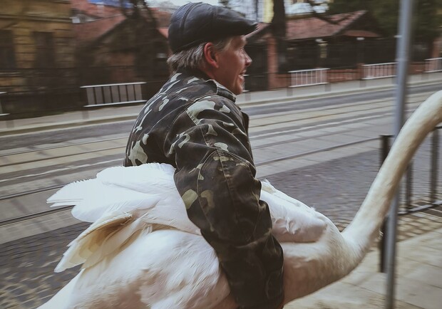 Зі Стрийського парку втік білий лебідь. Фото: May Lee