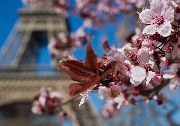 Французька Весна. Кім Барб’є - фото
