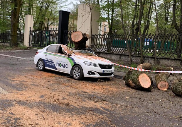 У Львові біля Стрийського парку дерево розтрощило автомобіль. Фото: Taras Bakiko