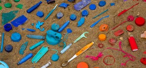 Гуляй, збирай сміття, худни: львів'ян запрошують на піший екомарафон