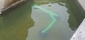 Побавилися і досить: у фонтані в центрі Львова втопили електросамокат