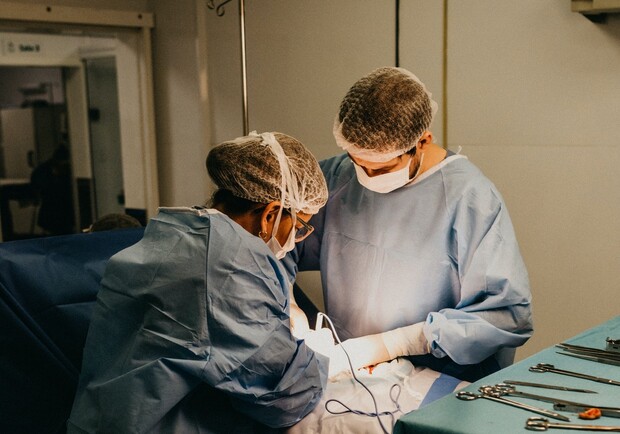 Львівські лікарі вперше самостійно пересадили серце. Фото: pexels.com
