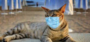 З послабленнями: в Україні продовжили карантин до кінця літа