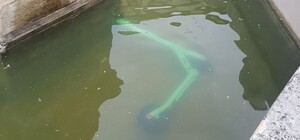 Поламати, втопити, сховати у підвалі: як у Львові збиткуються над прокатними електросамокатами