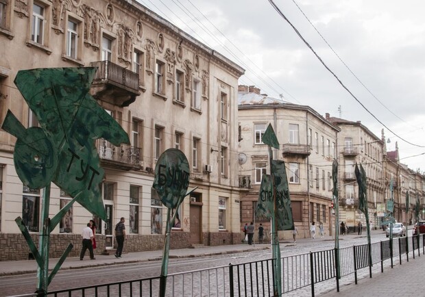 Екосвідомі: біля Театру Лесі з'явилися незвичайні дерева. Фото: Львівська міська рада.