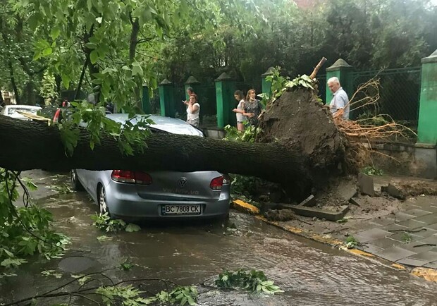 Львів накрила сильна буря. Фото: Перша приватна мемарня