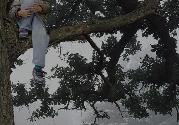 Ображали однолітки: на Львівщині дитина залізла на дерево і відмовилася злазити. Фото: sq.com.ua
