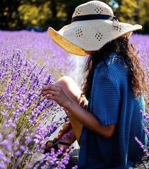 Парк скульптур, лавандові поля, ранчо: що цікавого подивитися туристам у Бірці та в околиці