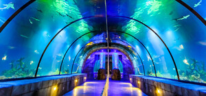 ОКЕАНАРІУМ