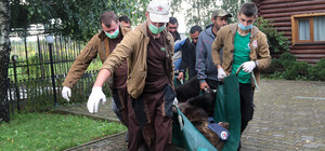 Фото: у ведмежому притулку біля Львова поповнення