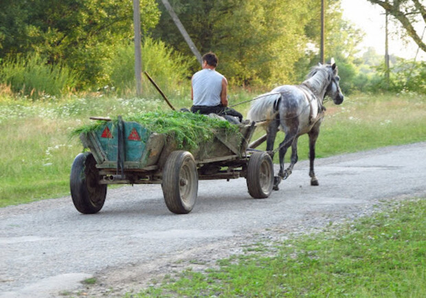 На Стрийщині чоловік потрапив під колеса власної підводи. Фото: googleusercontent.com (ілюстративне)