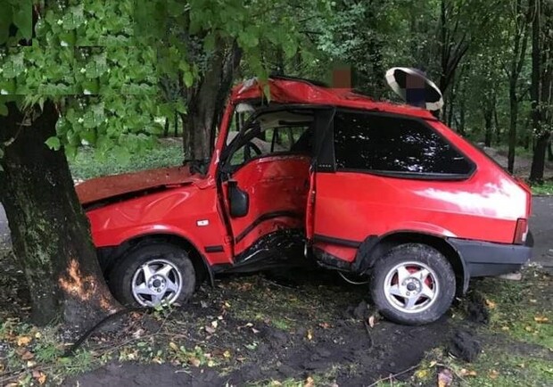 На вулиці Любінській у Львові автомобіль врізався в дерево. Фото: патрульна поліція 
