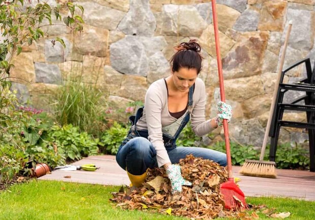 Які роботи слід проводити в саду, на грядках і городі у жовтні 2021: посівний календар. Фото: homeaddict.io 