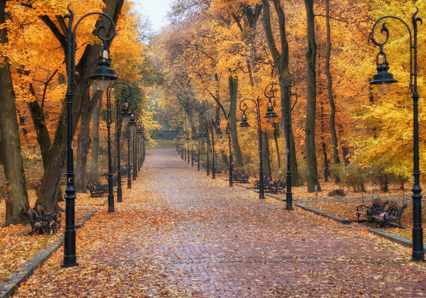 У львівському парку облаштовують унікальну доріжку. Фото: wyr.com.ua (ілюстративне)