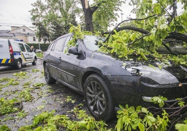 Львів’ян попереджають про сильний вітер. Фото: nash.live (умовне)