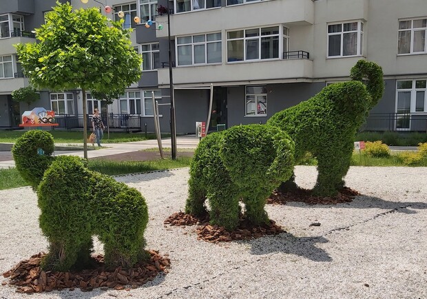 У Львові з’явився сад із динозаврами та слонами. Фото: facebook.com/Наталія Верба