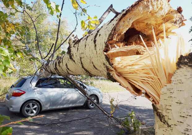 Львів’ян попереджають про сильний вітер. Фото: autoru-mag (умовне)