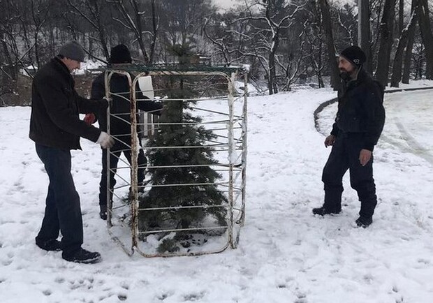У львівському парку почали «садити» ялинки за ґрати 