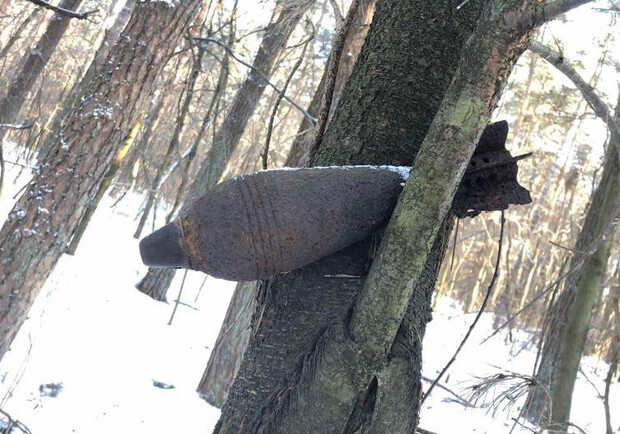 На дереві у Золочівському районі виявили міну 