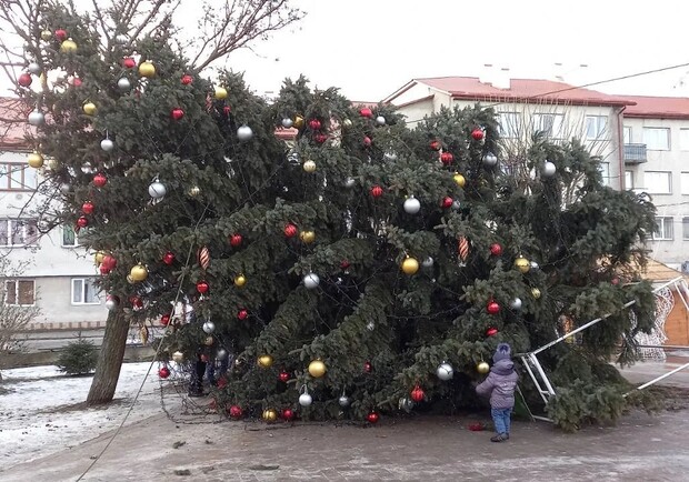 Сильний вітер повалив головну новорічну ялинку у Буську 